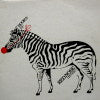 REDNOSE DISTRIKT / HOOR'S EP