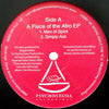 REGGIE DOKES / A PIECE OF THE AFRO EP