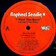 RAPHAEL SAADIQ / I WANT YOU BACK
