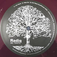 RADIQ / MO ROOTS (SOULPHICTION RMX)