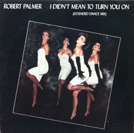 ROBERT PALMER / I DIDN’T MEAN TO TURN YOU ON