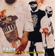 RADIX / COMPARE U 2 ME CRISPY REMIX