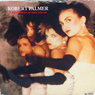 ROBERT PALMER / I DIDN’T MEAN TO TURN YOU ON