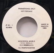 RICO RODRIGUEZ / WONDERFUL WORLD
