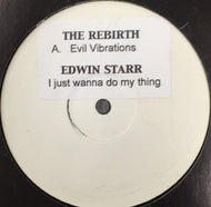 REBIRTH / EVIL VIBRATIONS