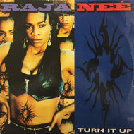 RAJA-NEE / TURN IT UP