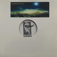 RENNIE FOSTER / FALLING SKYWARD