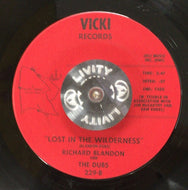 RICHARD BLANDON & THE DUBS / Lost In The Wilderness