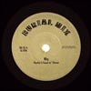 RHYTHM & SOUND / WHY