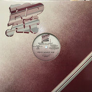 ROXANNE SHANTE / I'M FLY SHANTE