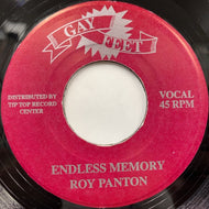ROY PANTON / BROTHER DON ALL STARS / Endless Memory / Eastern Organ 