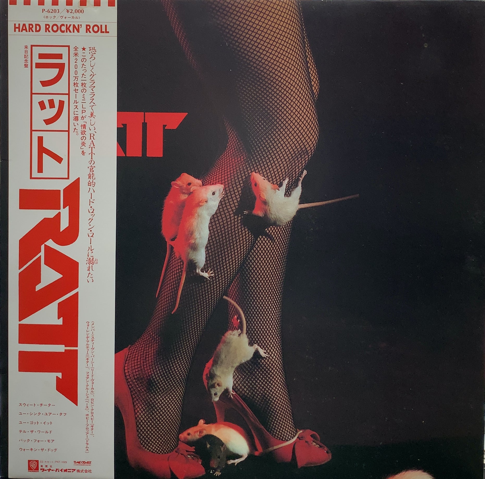 RATT / Ratt 帯付 – TICRO MARKET