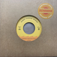 Robert”Dubwise”Browne / Everybody Loves The Sunshine