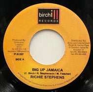 RICHIE STEPHENS / Big Up Jamaica