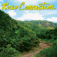 RISCO CONNECTION / RISCO CONNECTION