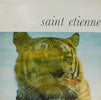 SAINT ETIENNE / PALE MOVIE