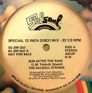 SALSOUL STRINGS / SUN AFTER THE RAIN