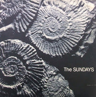 SUNDAYS / READING, WRITING AND ARITHMETIC