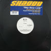 SHAGGY / HEY SEXY LADY