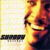 SHAGGY / HOTSHOT