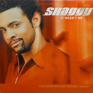 SHAGGY / IT WASN'T ME