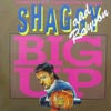 SHAGGY / RAYON / BIG UP REMIX
