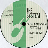 SYSTEM / YOU'RE IN MY SYSTEM