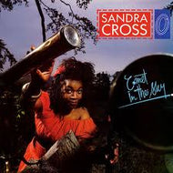 SANDRA CROSS / COMET IN THE SKY