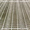 STEVE REICH / DIFFERENT TRAINS / ELECTRIC COUNTERPOINT