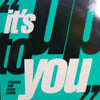 STEINSKI & MASS MEDIA / IT'S UP TO YOU