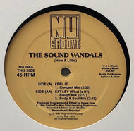 SOUND VANDALS / Feel It / Extasy (What Is It?)