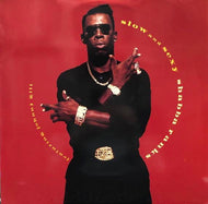 SHABBA RANKS / SLOW AND SEXY
