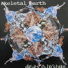 SKELETAL EARTH / DE EV O LU SHUN