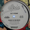 SLY STONE / DANCE TO THE MUSIC / SING A SIMPLE SONG