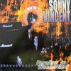 SONNY VINCENT / PARALLAX IN WONDERLAND