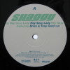 SHAGGY / HEY SEXY LADY