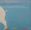 SHIHO FUJISAWA / AFTER HOURS E.P. 03