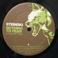 STEINSKI / NOTHING TO FEAR
