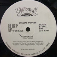 SPECIAL FORCES / STROKE IT