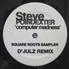 STEVE POINDEXTER / FARLEY JACKMASTER FUNK / SQUARE ROOTS SAMPLER / CHICAGO ACID HOUSE REMIXED