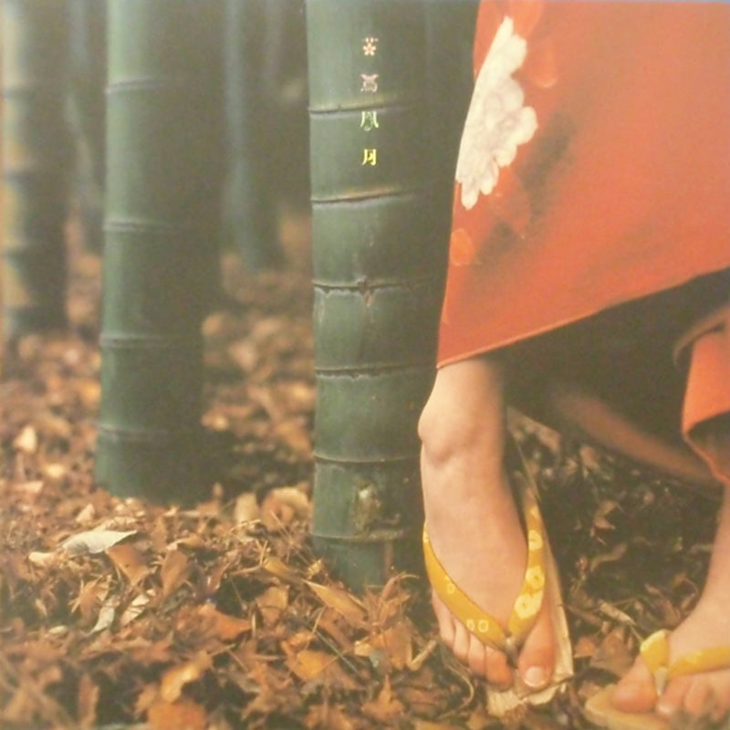 【新品未使用】LPレコード 2枚組　スピッツ　花鳥風月 スピッツ / 花鳥風月 (LP) 10インチ2枚組 (POJH-1032/3) YYT3-4