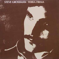 STEVE GROSSMAN / TERRA FIRMA