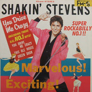 SHAKIN' STEVENS / YOU DRIVE ME CRAZY