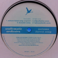 SCALLYMATIC ORCHESTRA / AUTUMN FOREST SONG