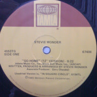STEVIE WONDER / GO HOME