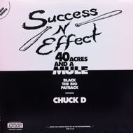 SUCCESS-N-EFFECT / 40 ACRES AND A MULE