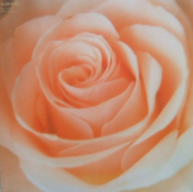 サニーデイ・サービス BEST FLOWER レコード レア盤 曽我部恵一