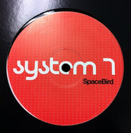 SYSTEM 7 / SPACE BIRD