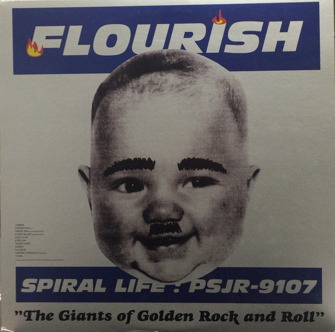 定期入れの Spiral Life / Flourish レコード スパイラルライフ 邦楽