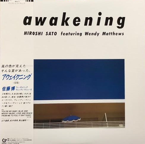 佐藤博 (HIROSHI SATO) / Awakening (覚醒)